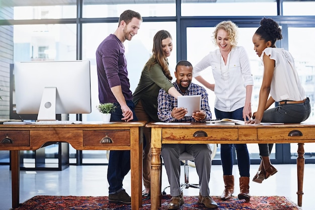 Web development course options